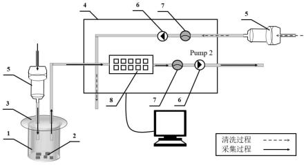 一种基于电子鼻的柑橘黄龙病检测方法