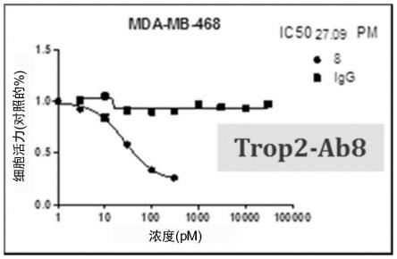 滋养层细胞表面抗原2(TROP2)特异性抗体的制作方法