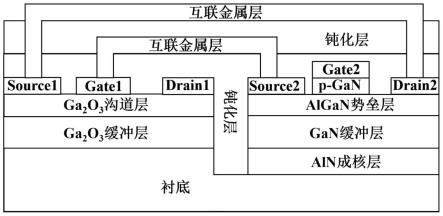 一种单片集成GaN/Ga2O3的Cascode增强型抗单粒子烧毁器件及其制备方法与流程