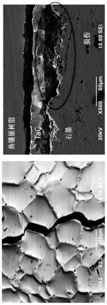 碳化钽涂层碳材料及其制备方法与流程