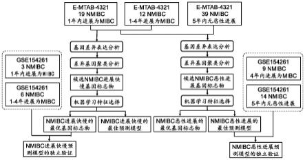 NMIBC预后预测分子标志物、筛选方法及建模方法