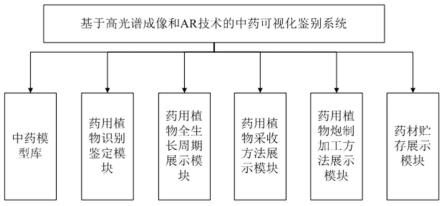 基于高光谱成像和AR技术的中药可视化鉴别系统