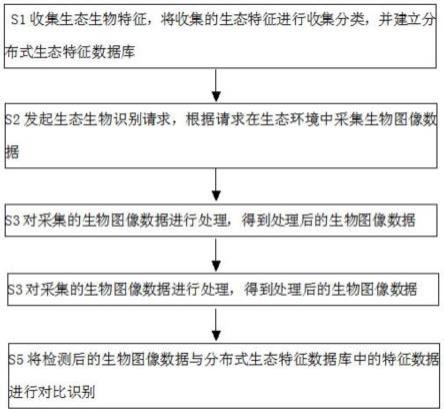 基于R-FCN算法的生态生物识别方法与流程