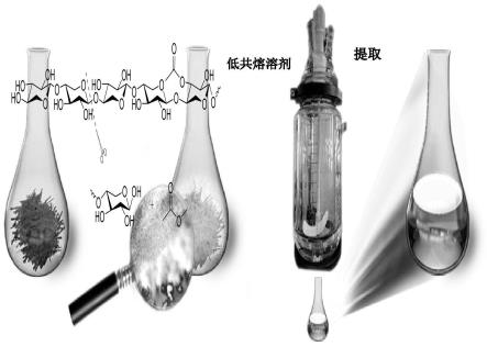 一种提取甘草药渣黄酮及分离纯化的方法