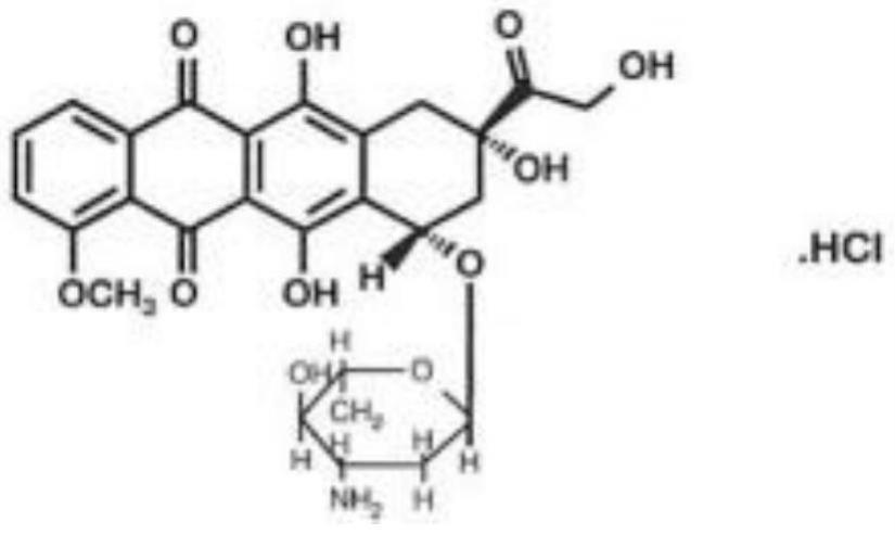 一种注射用盐酸表柔比星冻干粉针及其制备方法与流程