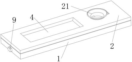 一种使用量子点荧光检测抗缪勒管激素的免疫层析检测卡的制作方法