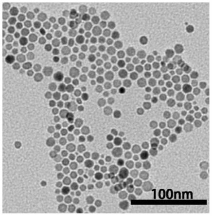 一种离子掺杂型硫化铜纳米粒子的制备方法及其应用