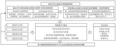 一种基于脑肌网络图论特征的卒中后康复评估深度学习模型构建方法与流程