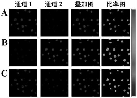 一种三信号碳点基探针及制备方法和应用