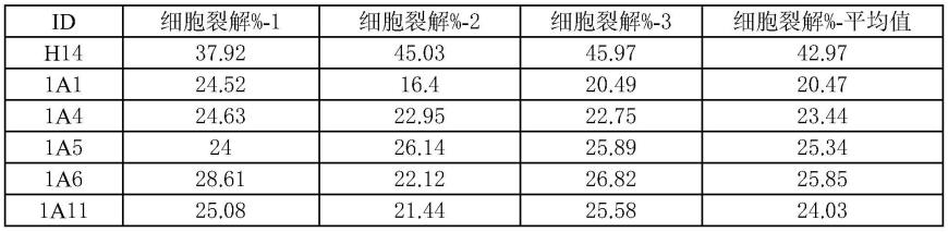 IL1RAP抗体的制作方法