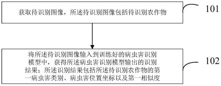 病虫害识别及模型训练方法、装置、电子设备及存储介质与流程