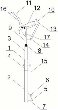 一种可调控果树枝条修剪器