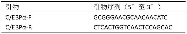 一种调控C/EBPα基因表达的方法及C/EBPα表达抑制剂