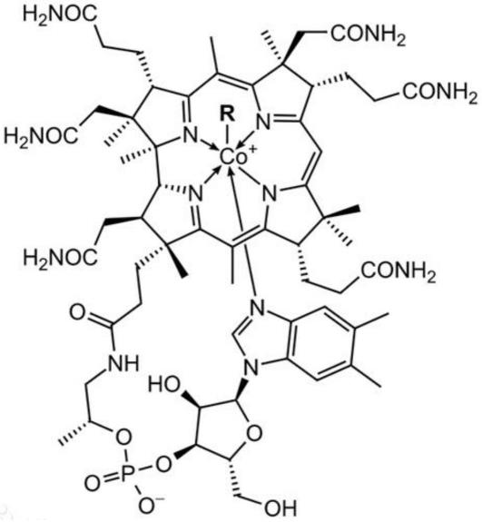 維生素b12,是目前所知維生素中分子量最大和最複雜的一種.