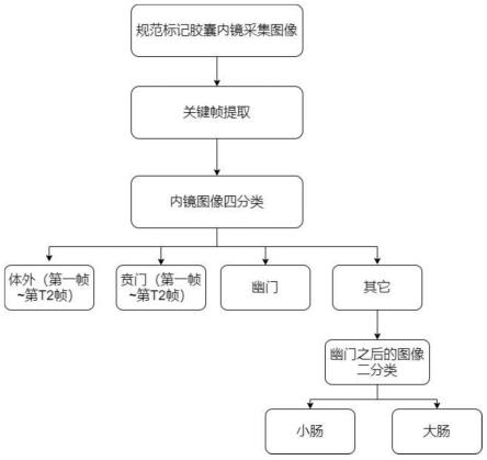 一种胶囊内镜胃肠道器官图像自动识别方法与流程