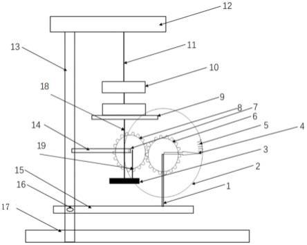 一种齿轮法测量金属丝杨氏模量的装置