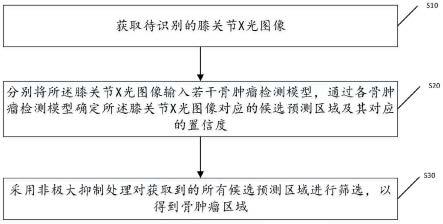 一种基于深度学习的膝关节骨肿瘤检测方法及相关装置