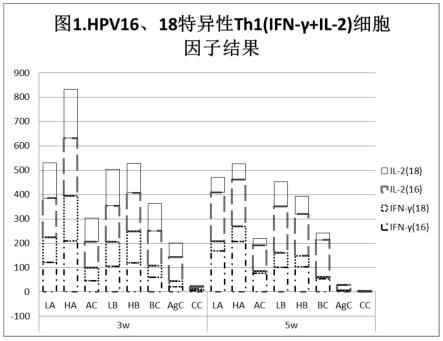 一种双价人乳头瘤病毒疫苗的制作方法