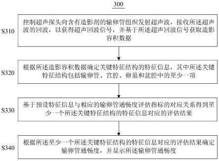 基于输卵管造影成像的评估方法和超声成像系统与流程