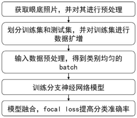 眼底照片分类方法、眼底图像处理方法和系统