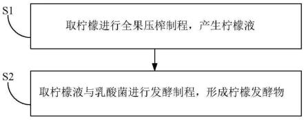 柠檬发酵物的制备方法及其不易形成体脂肪的用途与流程