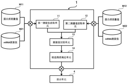 用以预防或治疗肾脏疾病的活性组分的候选物质的筛选装置和筛选方法与流程