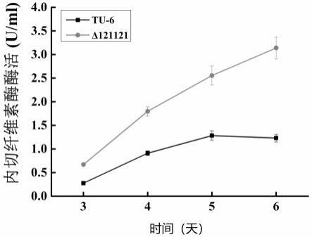 转录抑制因子121121的应用及提高里氏木霉纤维素酶表达量和酶活的方法