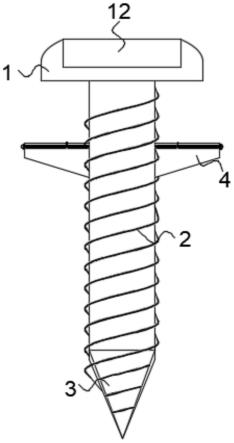 一种带垫片的可调自动螺钉的制作方法