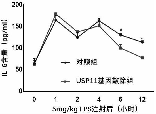 USP11在抑制细胞因子IL6降解中的应用