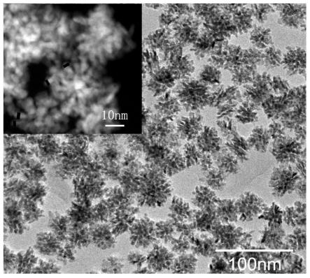 一种用于电解水的析氢催化剂活性材料及制备方法