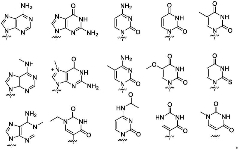 一种三磷酸核苷酸盐的制备方法与流程