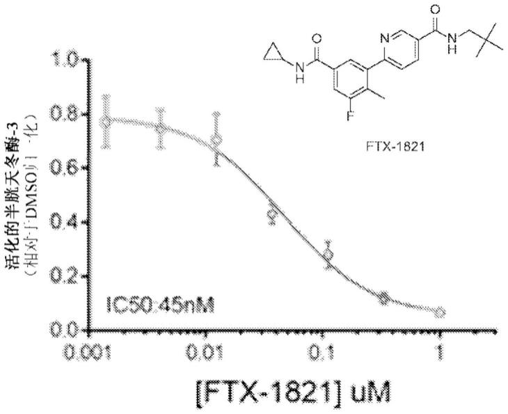 P38激酶抑制剂降低DUX4和下游基因表达以用于治疗FSHD的制作方法