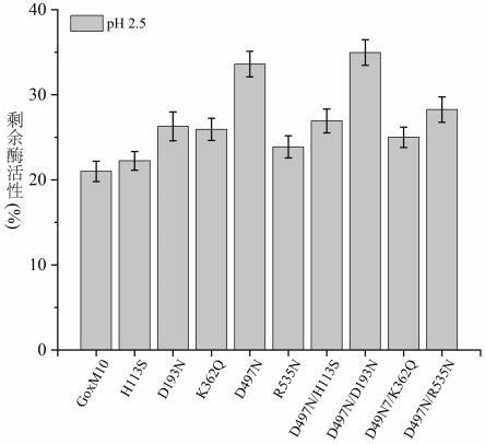 酸稳定性提高葡萄糖氧化酶GoxM10的突变体D497N及其衍生突变体和应用