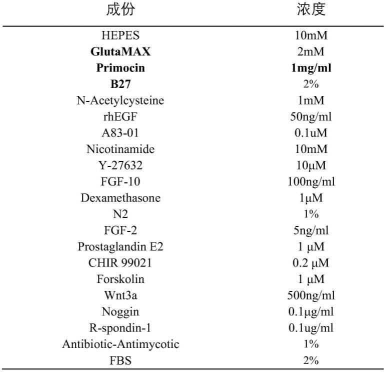 一种黏膜黑色素瘤3D类器官及其培养方法和应用