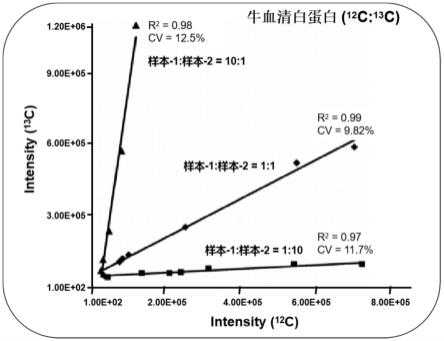 基于一级质谱分析的双氨基酸稳定同位素标记方法及应用与流程