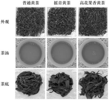 一种高花果香型黄茶的新型加工工艺