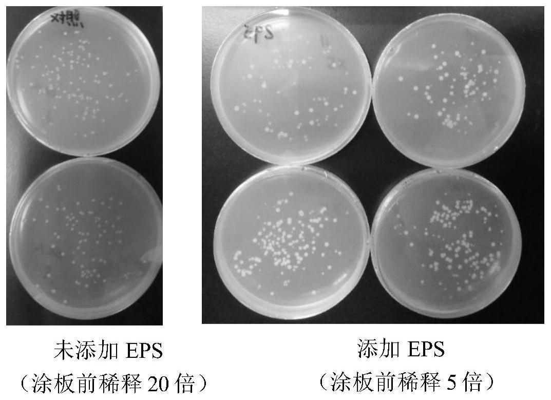 一种利用胞外聚合物抑制抗生素抗性基因转化的方法