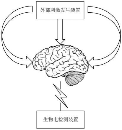 神经调控系统和方法与流程