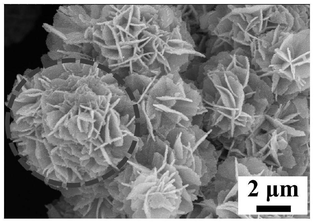 一种三维钠铋硫花状微球结构及其制备方法及其在宽光谱光电探测器中的应用