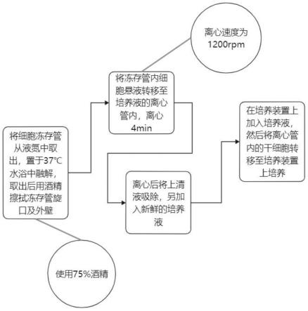 一种干细胞培养工艺的制作方法