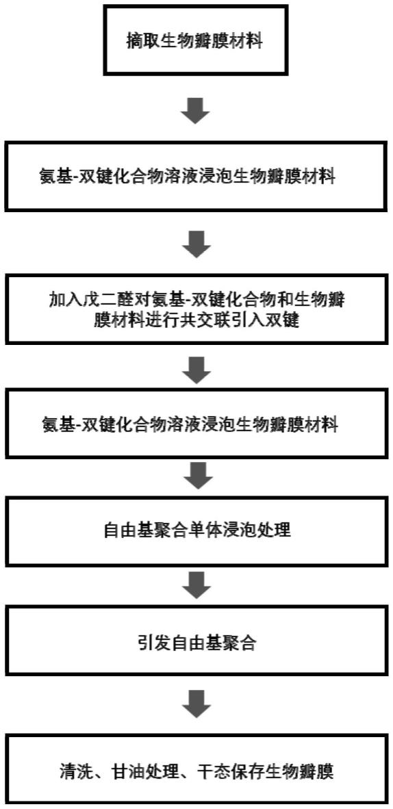 一种共交联后双键交联生物瓣膜材料及其制备方法和应用