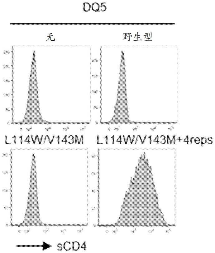 鉴定T细胞受体的方法