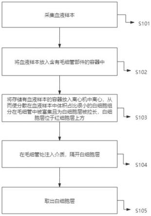 一种提取血液样本中白细胞的方法与流程