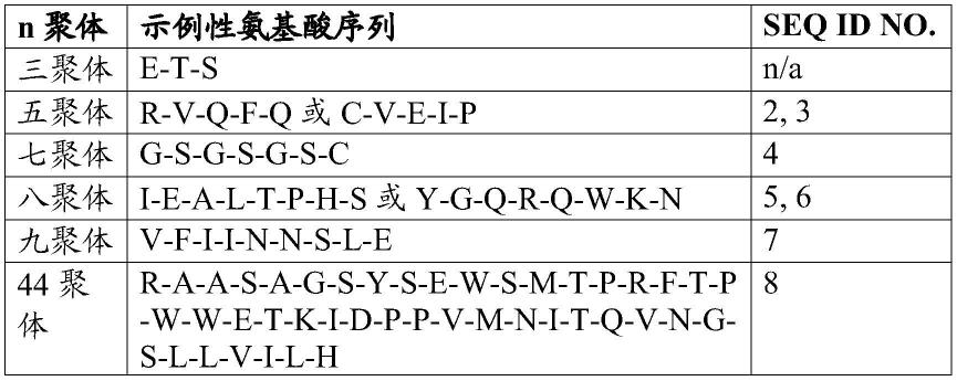 白细胞介素-22的治疗性衍生物的制作方法