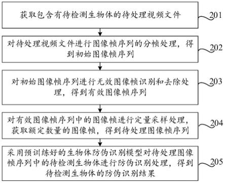 生物体防伪识别方法、装置、设备及存储介质与流程