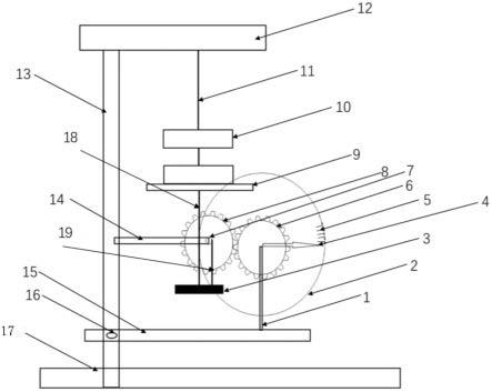 一种齿轮法测量金属丝杨氏模量的装置