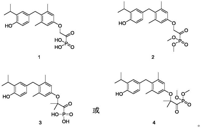 磷酸或磷酸酯类衍生物及其制备方法和其在医药上的用途与流程