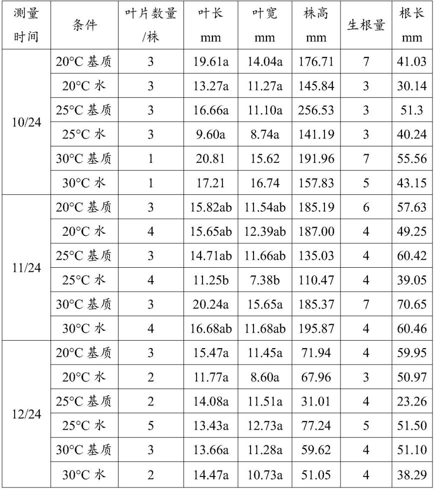 一种西藏子午莲的栽培方法