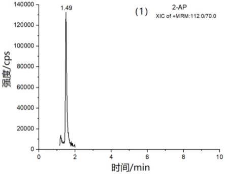 一种检测香米特征香味成分2-乙酰基-1-吡咯啉的方法