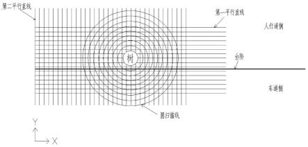 一种基于探地雷达技术的城市行道树根系检测方法